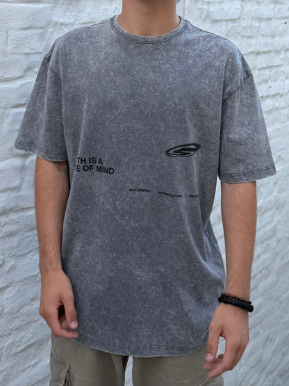 Remera TRUTH gris