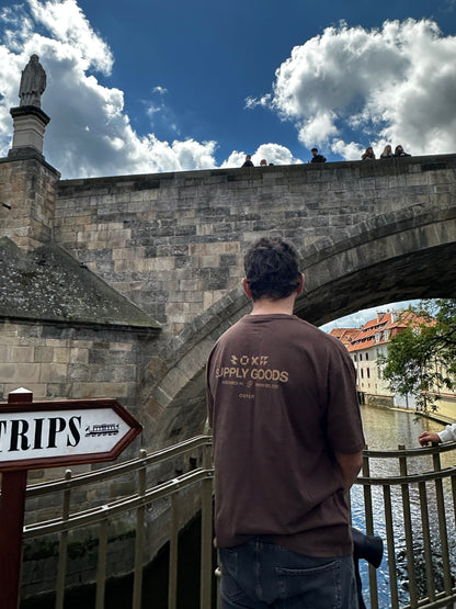 Remera SUPPLY marrón