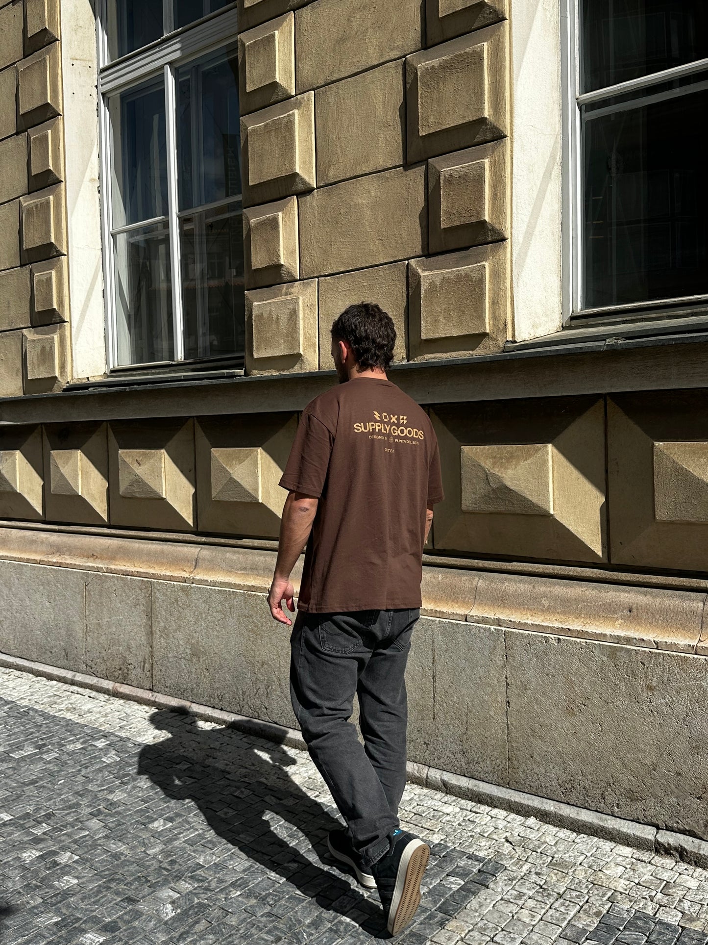 Remera SUPPLY marrón