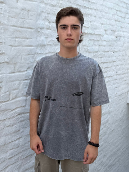 Remera TRUTH gris