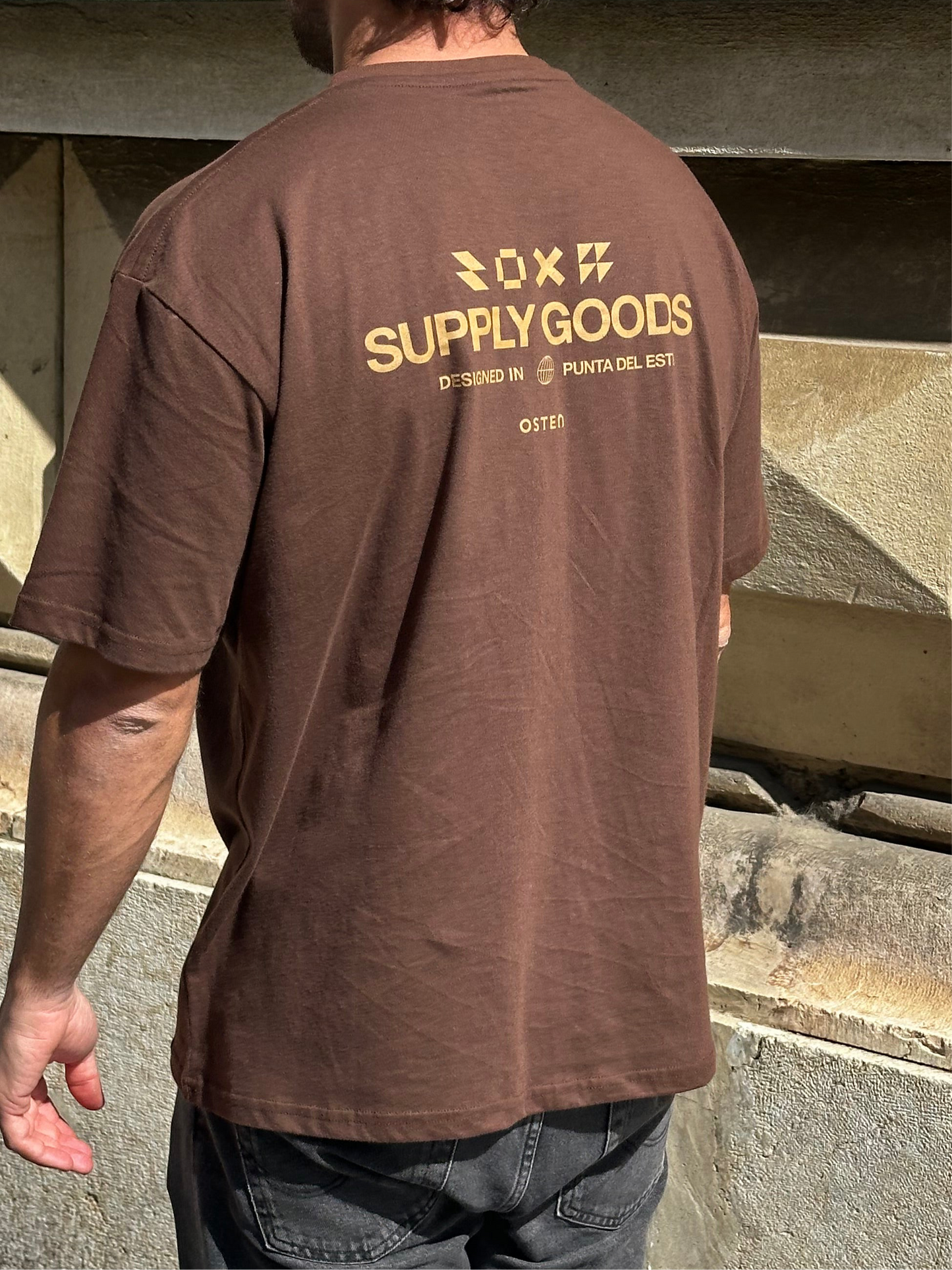 Remera SUPPLY marrón